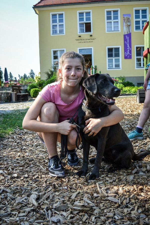 Familien- Und Freizeithotel Gutshaus Petkus Εξωτερικό φωτογραφία